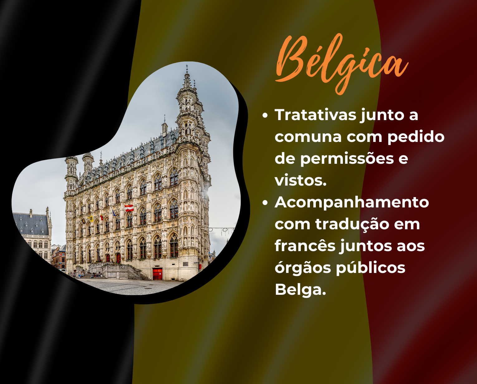 BELGICA - SERVICOS